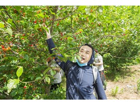 北方微波春季團建活動圓滿成功